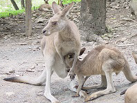 �C���[�W03